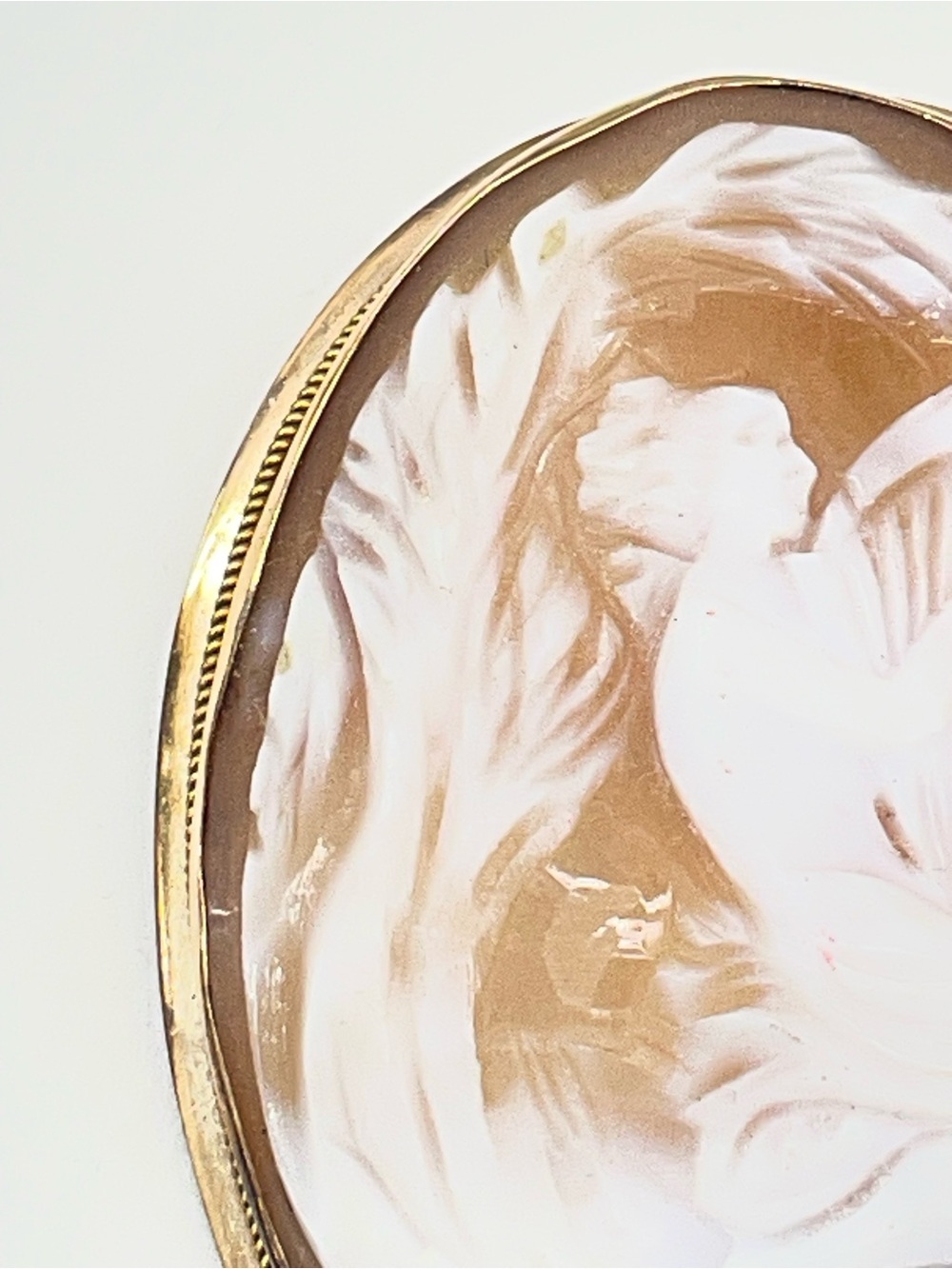 Carved Shell Cameo Brooch in White and Warm Brown with Gold Frame - Picture 12 of 13